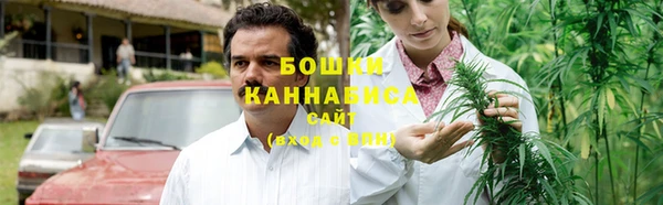 ПСИЛОЦИБИНОВЫЕ ГРИБЫ Лабытнанги