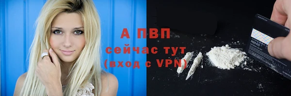 ПСИЛОЦИБИНОВЫЕ ГРИБЫ Лабытнанги