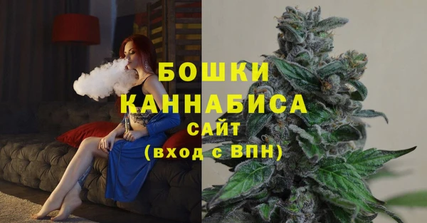 ПСИЛОЦИБИНОВЫЕ ГРИБЫ Лабытнанги