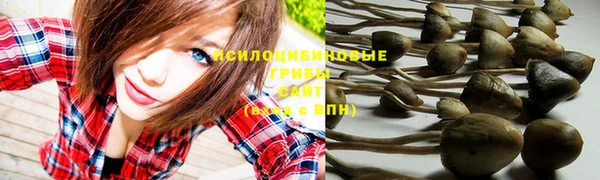 ПСИЛОЦИБИНОВЫЕ ГРИБЫ Лабытнанги