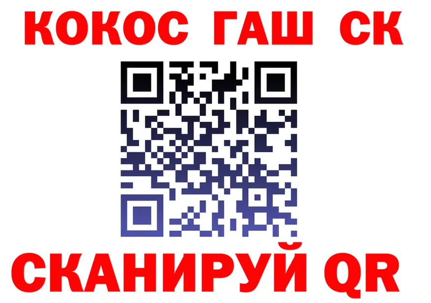 А ПВП СК ТОР маркетплейс гидра Краснослободск