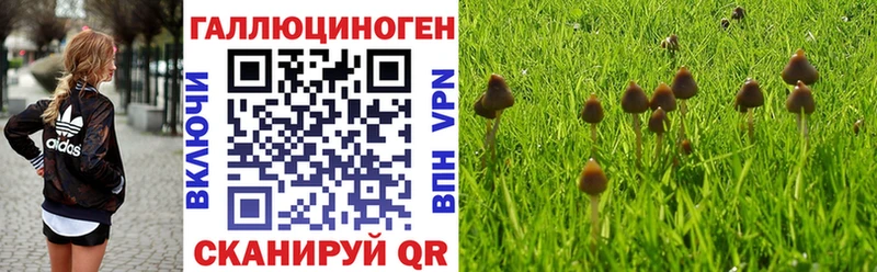Псилоцибиновые грибы GOLDEN TEACHER  Купить где  Краснослободск 